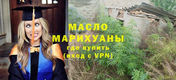 гашик Тобольск