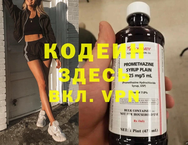 гашик Тобольск