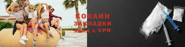 сатива Пересвет