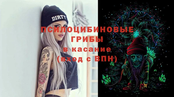 гашик Тобольск