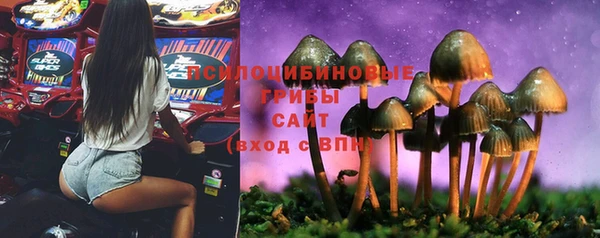 гашик Тобольск