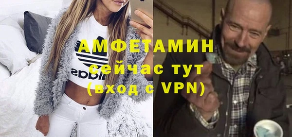 сатива Пересвет