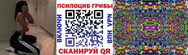 цены Щигры Псилоцибиновые грибы ЛСД